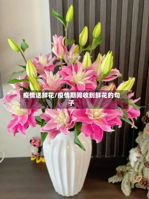 疫情送鲜花/疫情期间收到鲜花的句子