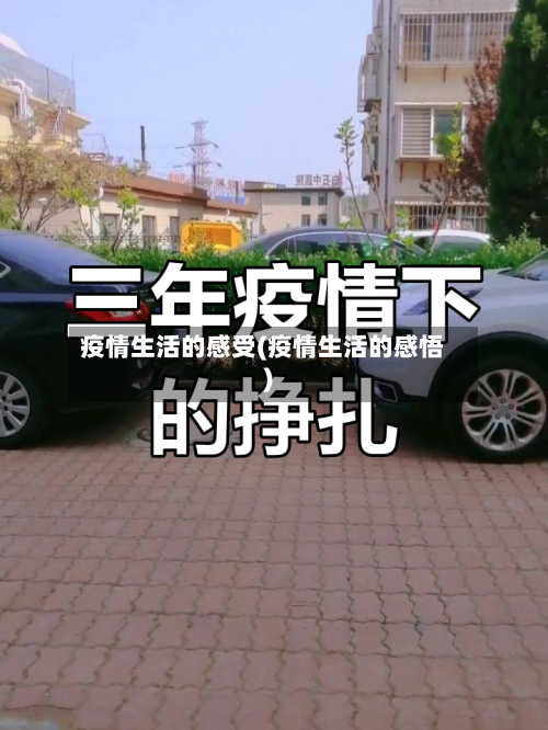 疫情生活的感受(疫情生活的感悟)