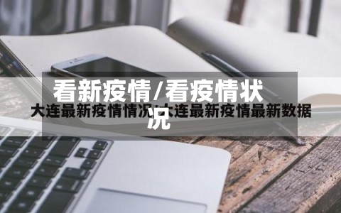 看新疫情/看疫情状况-第2张图片
