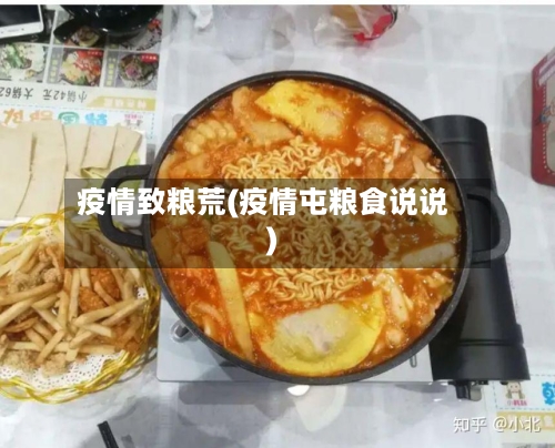 疫情致粮荒(疫情屯粮食说说)-第3张图片