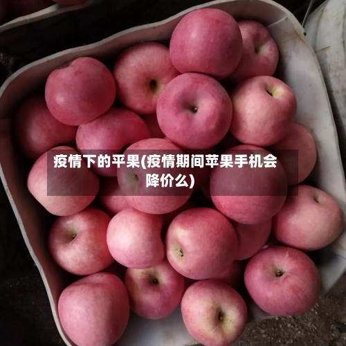 疫情下的平果(疫情期间苹果手机会降价么)-第2张图片