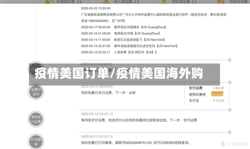 疫情美国订单/疫情美国海外购-第2张图片