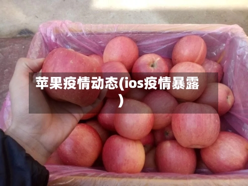 苹果疫情动态(ios疫情暴露)-第2张图片