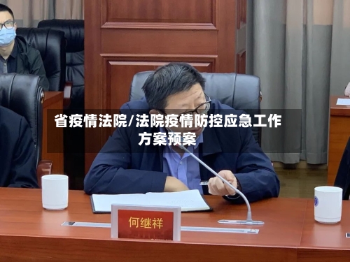 省疫情法院/法院疫情防控应急工作方案预案