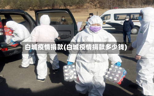 白城疫情捐款(白城疫情捐款多少钱)-第2张图片