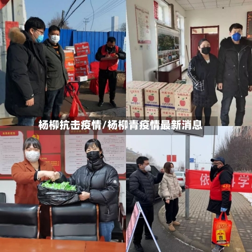 杨柳抗击疫情/杨柳青疫情最新消息