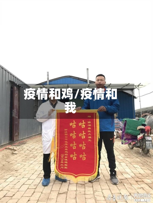 疫情和鸡/疫情和我