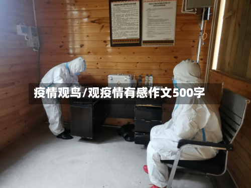 疫情观鸟/观疫情有感作文500字