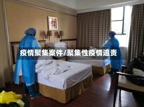 疫情聚集案件/聚集性疫情追责