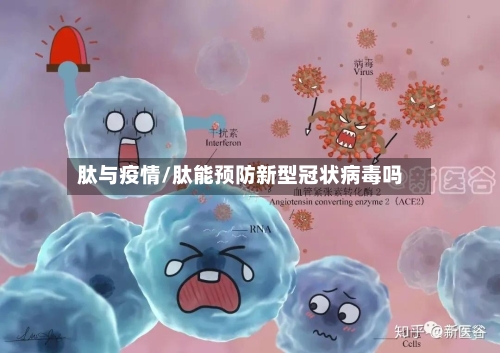 肽与疫情/肽能预防新型冠状病毒吗