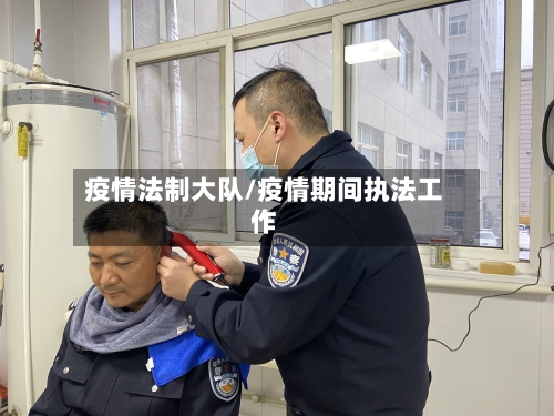 疫情法制大队/疫情期间执法工作-第2张图片