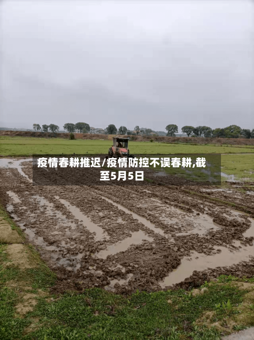 疫情春耕推迟/疫情防控不误春耕,截至5月5日-第2张图片