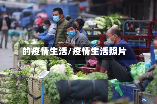 的疫情生活/疫情生活照片
