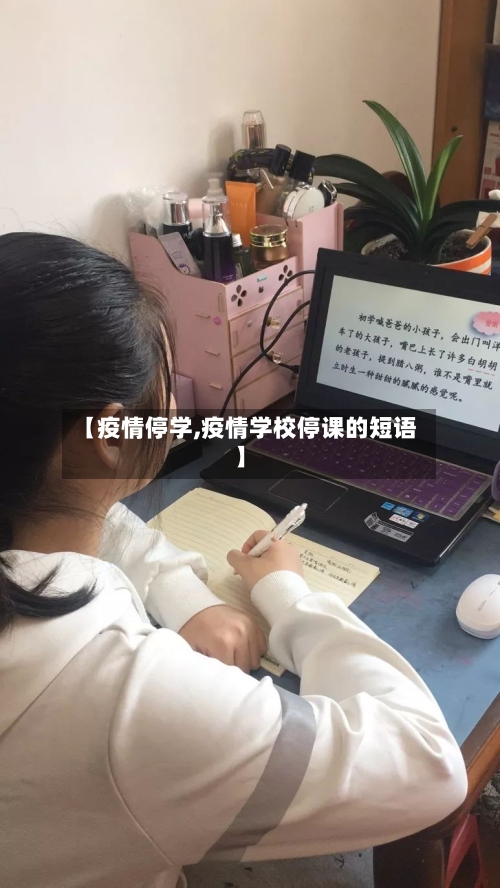 【疫情停学,疫情学校停课的短语】-第3张图片