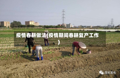 疫情春耕做法(疫情期间春耕复产工作)-第2张图片