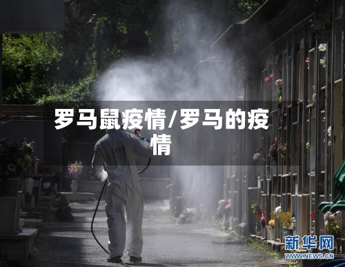 罗马鼠疫情/罗马的疫情