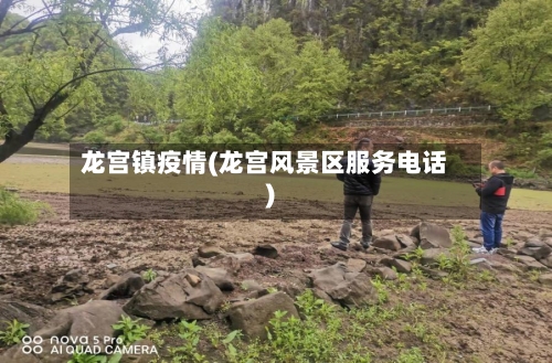 龙宫镇疫情(龙宫风景区服务电话)-第3张图片
