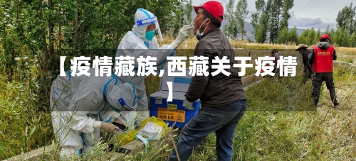 【疫情藏族,西藏关于疫情】