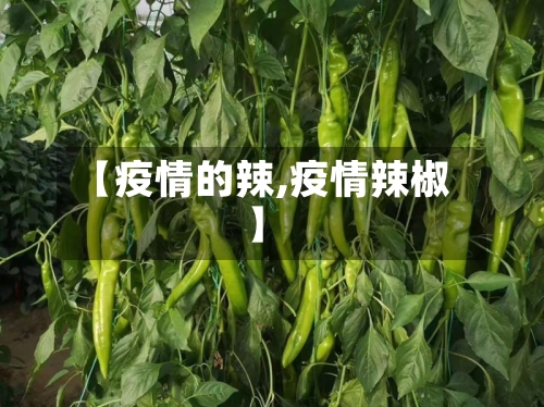 【疫情的辣,疫情辣椒】-第2张图片