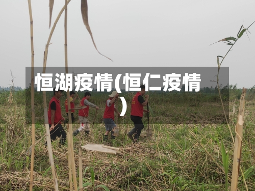 恒湖疫情(恒仁疫情)