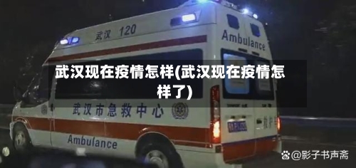 武汉现在疫情怎样(武汉现在疫情怎样了)