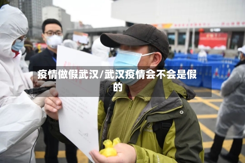 疫情做假武汉/武汉疫情会不会是假的