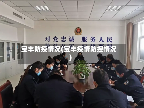 宝丰防疫情况(宝丰疫情防控情况)-第2张图片