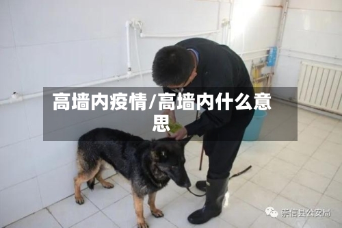 高墙内疫情/高墙内什么意思