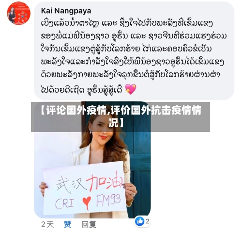 【评论国外疫情,评价国外抗击疫情情况】-第2张图片