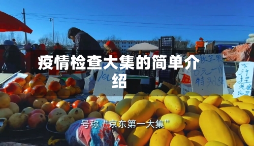 疫情检查大集的简单介绍