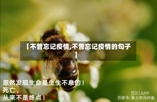 【不曾忘记疫情,不曾忘记疫情的句子】
