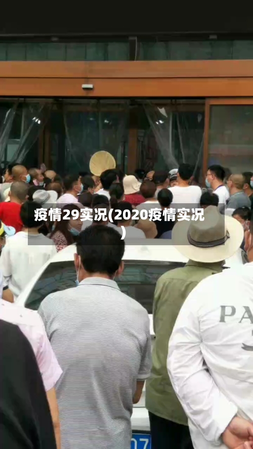 疫情29实况(2020疫情实况)