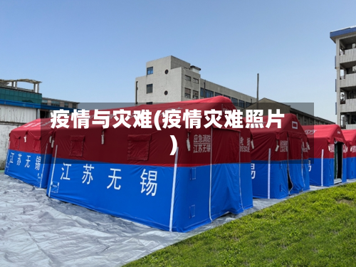 疫情与灾难(疫情灾难照片)-第2张图片