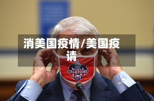 消美国疫情/美国疫请