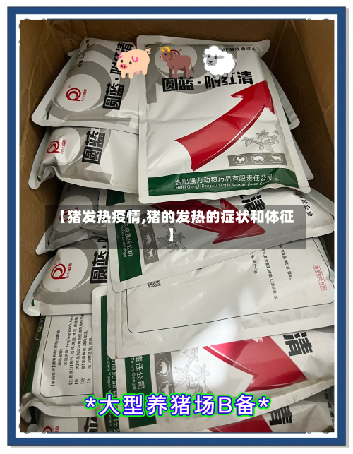 【猪发热疫情,猪的发热的症状和体征】-第3张图片