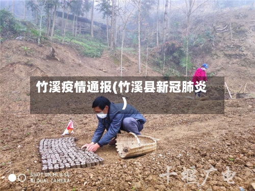 竹溪疫情通报(竹溪县新冠肺炎)-第3张图片