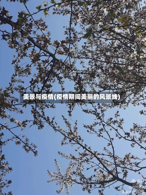 美景与疫情(疫情期间美丽的风景线)