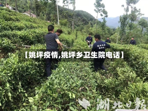 【姚坪疫情,姚坪乡卫生院电话】