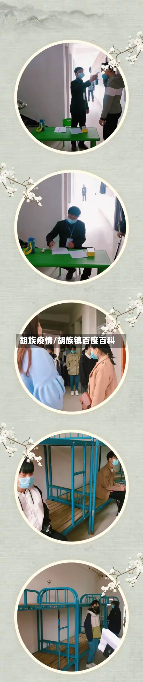 胡族疫情/胡族镇百度百科-第2张图片
