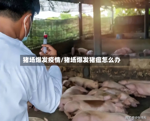 猪场爆发疫情/猪场爆发猪瘟怎么办