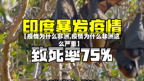 【疫情为什么非洲,疫情为什么非洲这么严重】