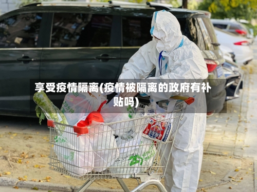 享受疫情隔离(疫情被隔离的政府有补贴吗)