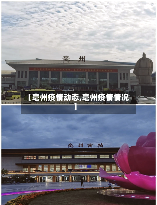 【亳州疫情动态,亳州疫情情况】