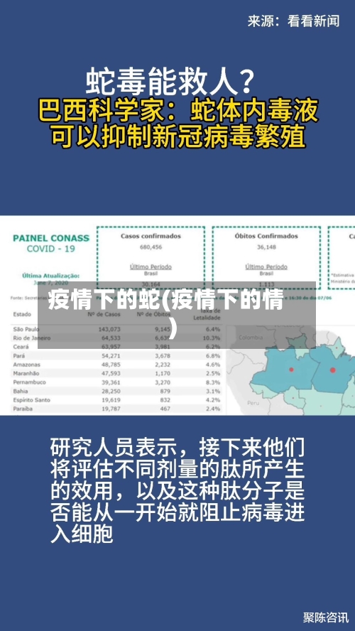 疫情下的蛇(疫情下的情)-第3张图片