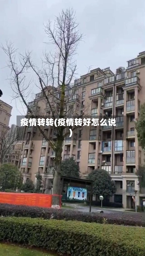 疫情转转(疫情转好怎么说)-第2张图片