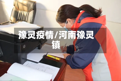 豫灵疫情/河南豫灵镇