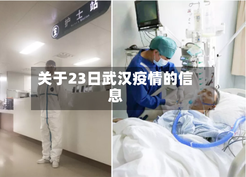 关于23日武汉疫情的信息