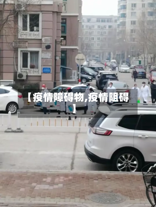 【疫情障碍物,疫情阻碍】-第2张图片