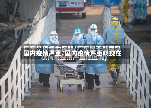 国内疫情严重/国内疫情严重吗现在-第3张图片