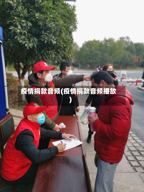 疫情捐款音频(疫情捐款音频播放)-第3张图片
